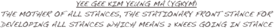 Yee Gee Kim Yeung Ma (YGKYM) the mother of all stances, the stationary front stance for developing all stances which means 2 knees going in stance